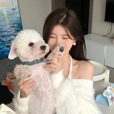 苏珊夫人寻婚计