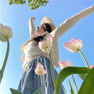 格里芬与菲尼克斯